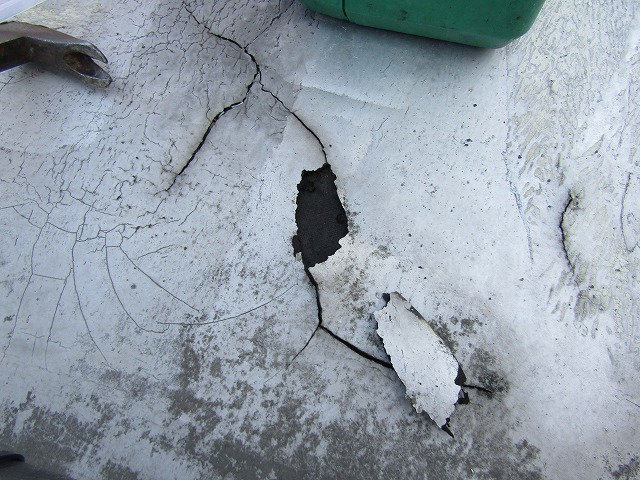 防水層の中は濡れていた