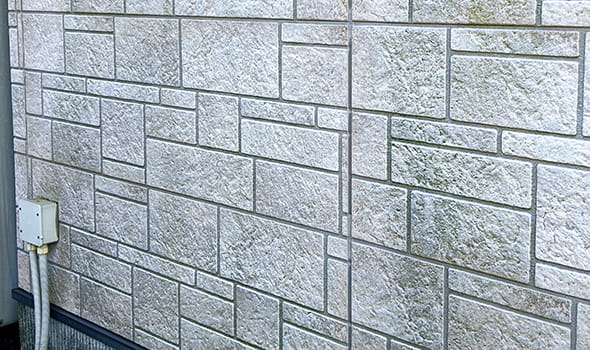 外壁のコケや汚れ