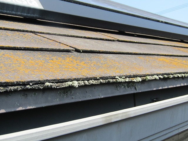 屋根の塗装前
