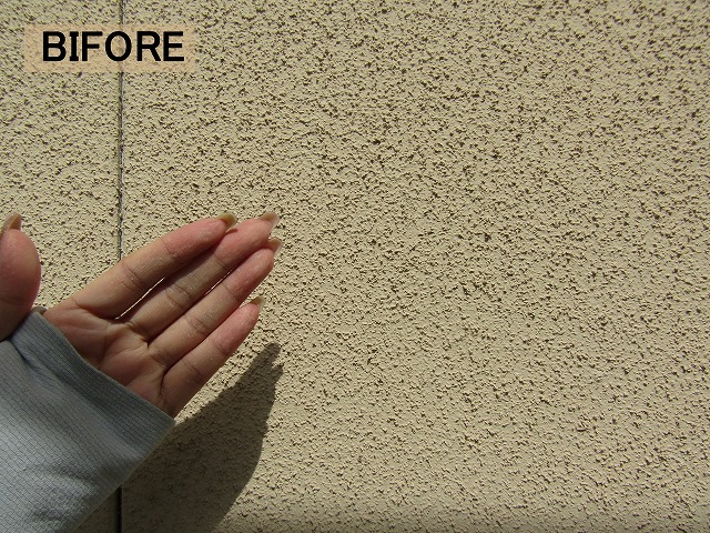 本宅の外壁BIFORE