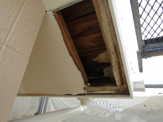 雨漏りが内部に