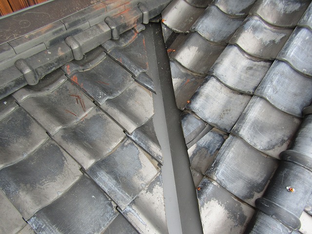 屋根　修繕完成