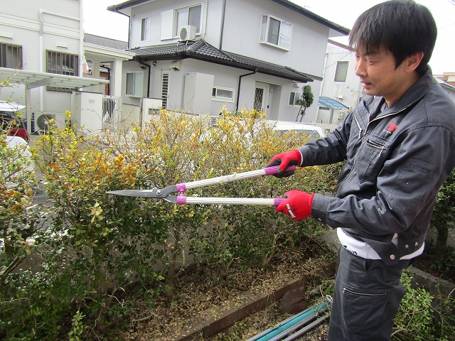 塗装のための剪定