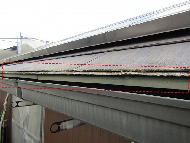 鼻隠し塗装されていない