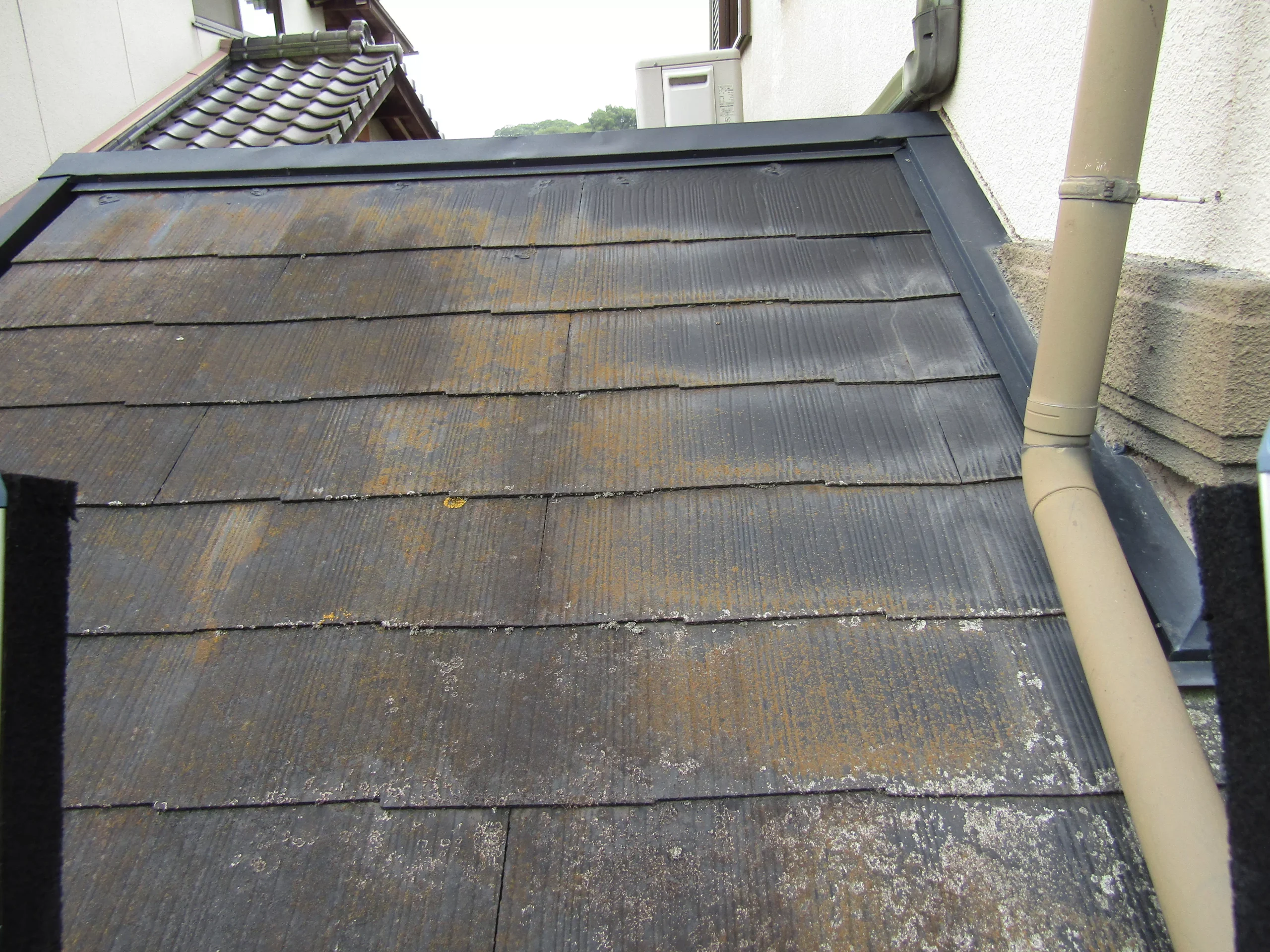 屋根のコケ