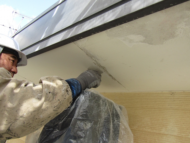 浮いた塗膜を剥がす