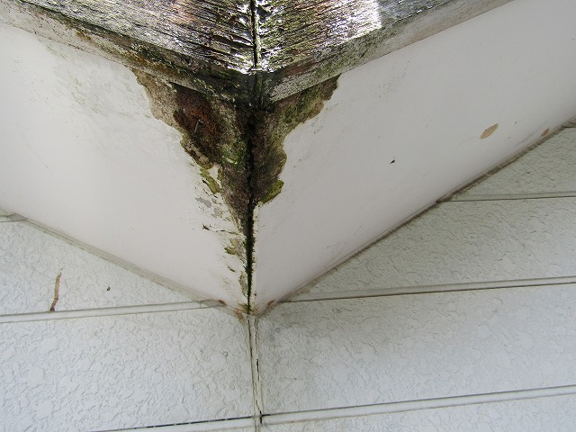 雨漏りによって腐食した軒天