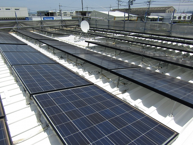 屋根を白色で塗装