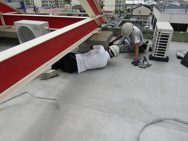 立ち上がりのシートを撤去