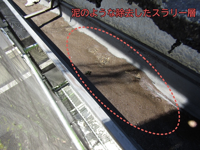 除去したスラリー層