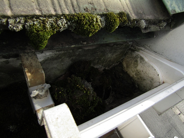 施工前　樋の詰まり