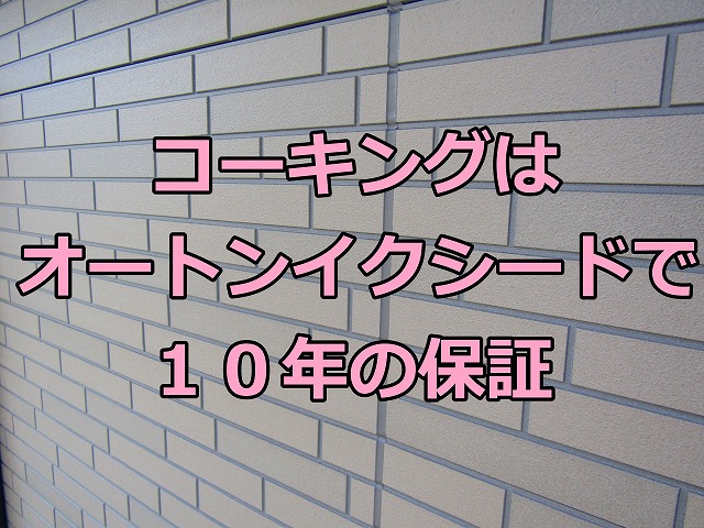 コーキングはオートンイクシード