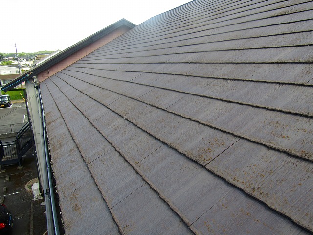 屋根のコケ