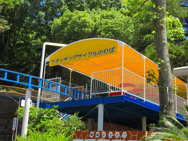 ウォッチングサイクル完成