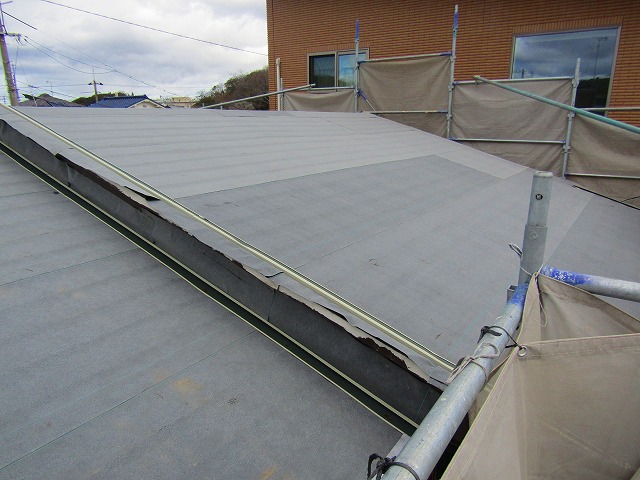 屋根にルーフィングを貼る