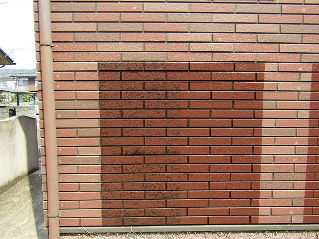 ダブルトーン　試し塗り